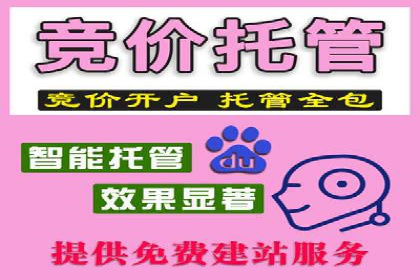 百度SEM广告投放效果评估的案例分析